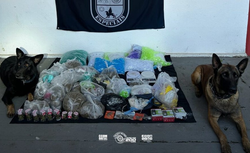 caes-do-5o-baep-localizam-mais-de-21-kg-de-drogas-durante-operacao-na-zona-leste-da-capital